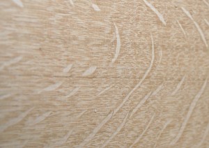 white_oak_quarter_and_rift_sawn