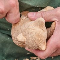 Whittling and Introduction to Wood Carving