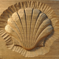 Beginning Relief Carving
